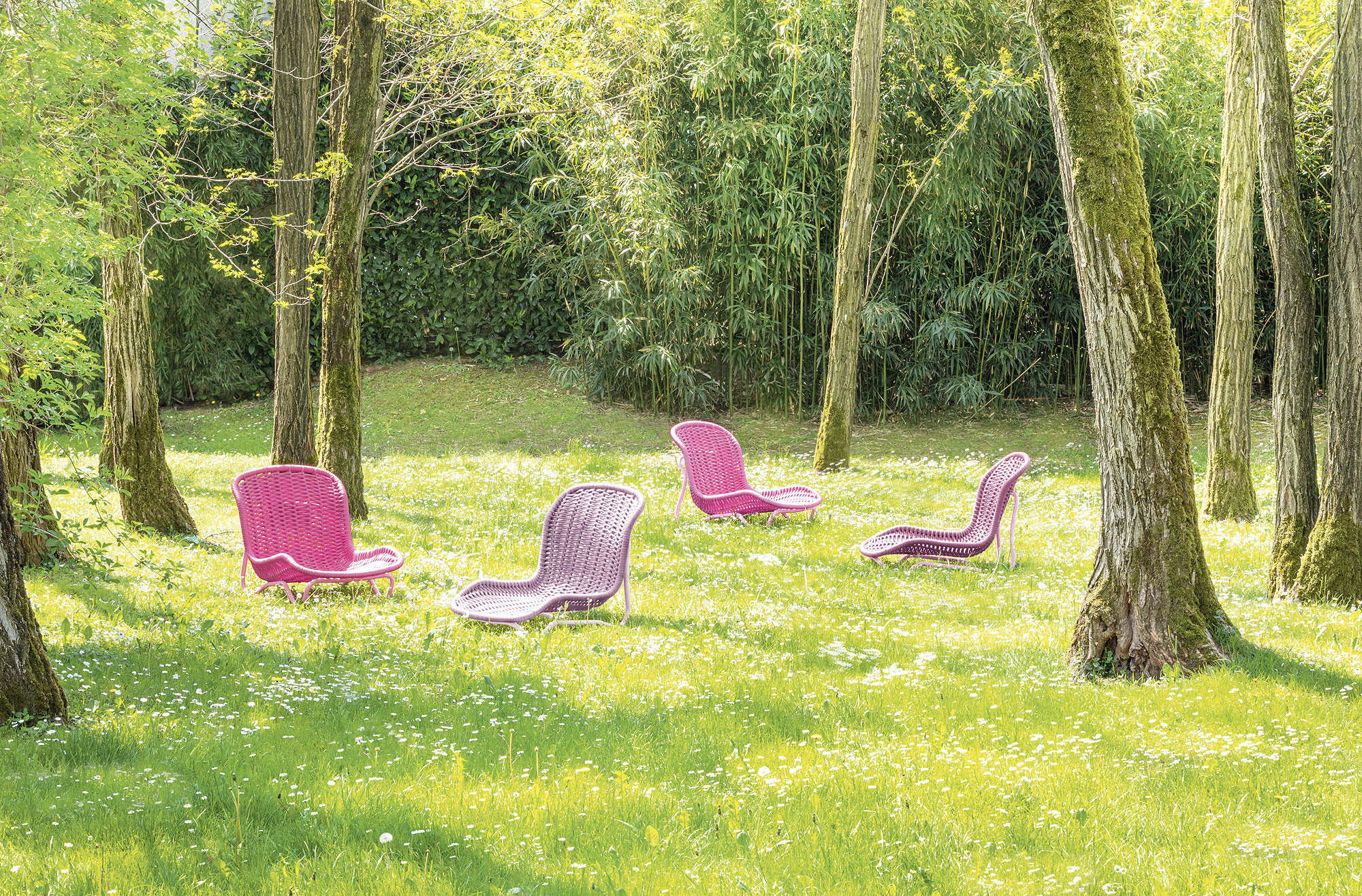 Jardin_Insight_4chairs